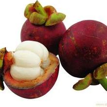 新鮮蔬菜 營養、選擇與保鮮之道